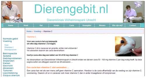 Cavia's hebben vitamine C nodig